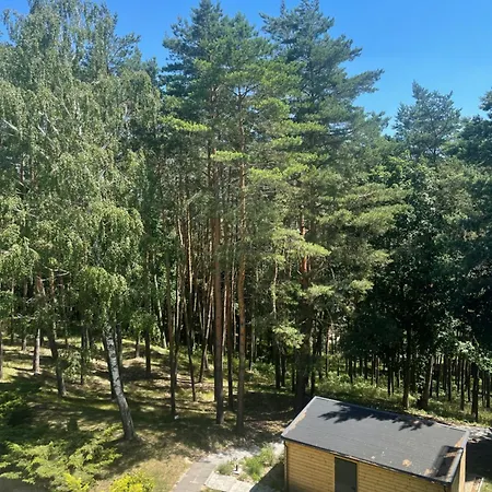 Nad Zalewem Zegrzynskim, 209 *